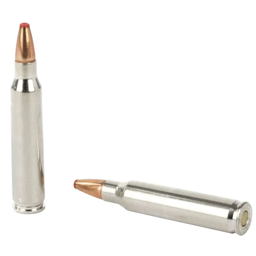 HORNADY CRITICAL DEFENSE 223 REM 55GR FTX 20RD BX 200RD CASE - Image 3