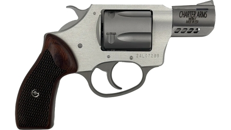 CHARTER ARMS COYOTE 380ACP SS 2" 5RD