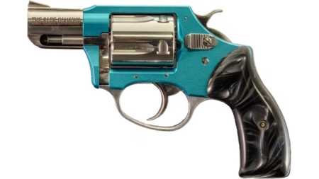 CHARTER ARMS BLUE DIAMOND 38SPC HIPOLISH 2"