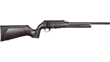 WAI HAM FRC B1 22LR GRY 10RD