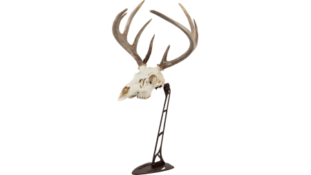 ALLEN EZ MOUNT CENTERPIECE - SKULL STAND BROWN