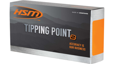 HSM 6MM ARC 95GR SST 20RD - 25BX/CS