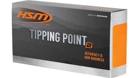 HSM 6MM CM 95GR SST 20RD - 25BX/CS