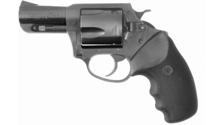 CHARTER ARMS CHARTER BULLDOG 44SPC NITRI FS