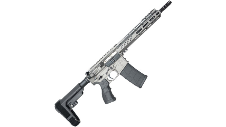 FOSTECH RAPTOR 10.5" 300BO GRY