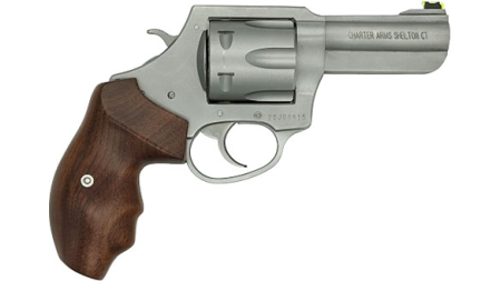 CHARTER ARMS PROFESSIONAL V - 357 MAG 3" S/S WALNUT
