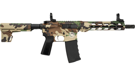 HIPOINT PISTOL HP-15 300 AAC - 10.5" 30RD BLADE BRACE M81