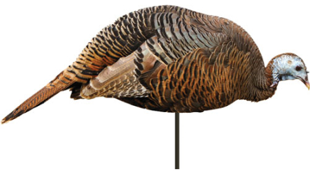 MONTANA DECOY TURKEY HEN - DINNER BELLE