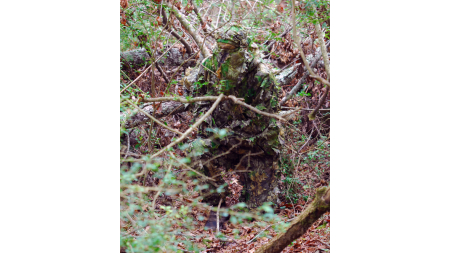 TITAN LEAFY SUIT MOSSY OAK - OBSESSION NWTF L/XL PANTS/TOP