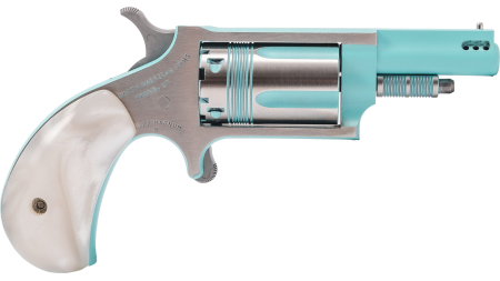 NAM MINI-REV 22M 1.625SS IRIS