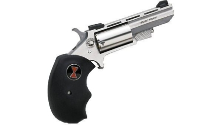 NORTH AMERICAN ARMS 22M/22L CON 2" BLK WIDOW SS FS