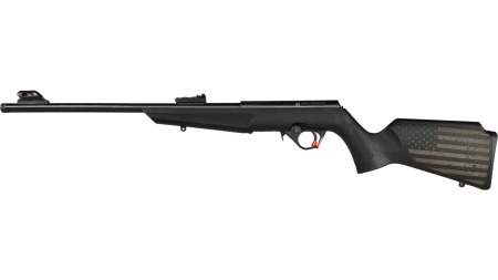 ROSSI RB22 22LR BLK/SYN FLAG 16.5" #