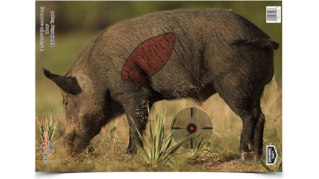 PREGAME BOAR TARGET - 16.5" X 24", 3 TARGETS