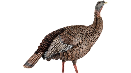 Avian-X HDR Hen Turkey Decoy