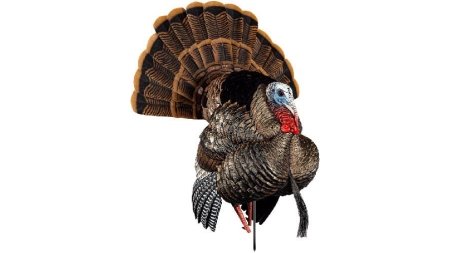 Avian-X HDR Strutter