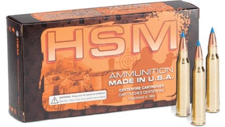 HSM Varmint V-MAX Rifle Ammunition .22 Hornet 35gr PT 2975 fps 50/ct
