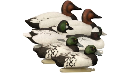 Higdon Outdoors Battleship Diver Pk 2 Bluebills 2 Canvasbacks 1 Bufflehead 1 Goldeneye