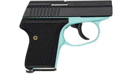 Seecamp LWS-380 Handgun 380 Auto 6rd Magazine 2" Barrel DAO Robin's Egg Blue Black Grip