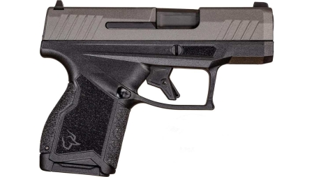 Taurus GX4 Black/Tungsten 9mm Luger Micro-Compact 11rd 3.06" Barrel