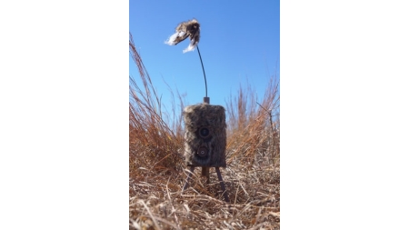 MOJO SUPER CRITTER W/CRITTER - TOPPER & SPEAKER