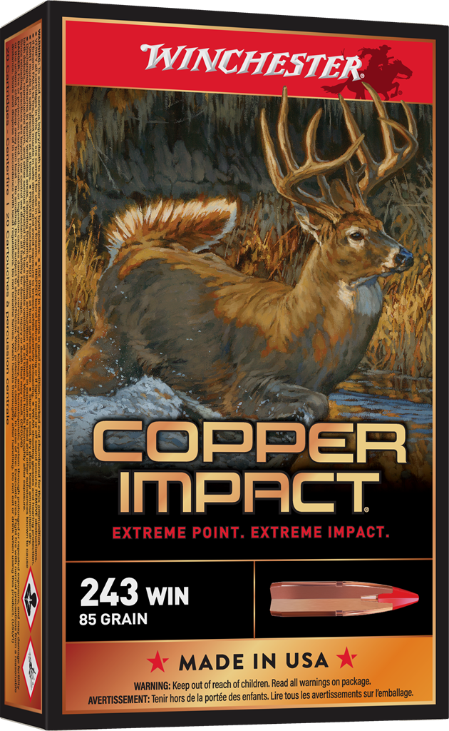 WINCHESTER COPPER IMPACT 243WIN 85G LD FRE 20RD BX 200RD CASE