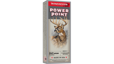 WINCHESTER SPR-X 243WSSM 100GR PP