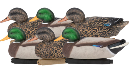ZINK FLOATER DECOYS MALLARD - 6 PACK