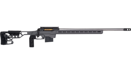 SAVAGE ARMS 110 ELITE PRECISION 308WIN