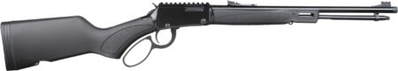 HEN X MODEL LVR 22WMR